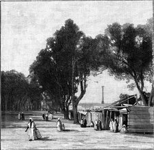 Street scene with Pompey's Pillar in the distance, Alexandria, Egypt, 1900. Artist: Unknown