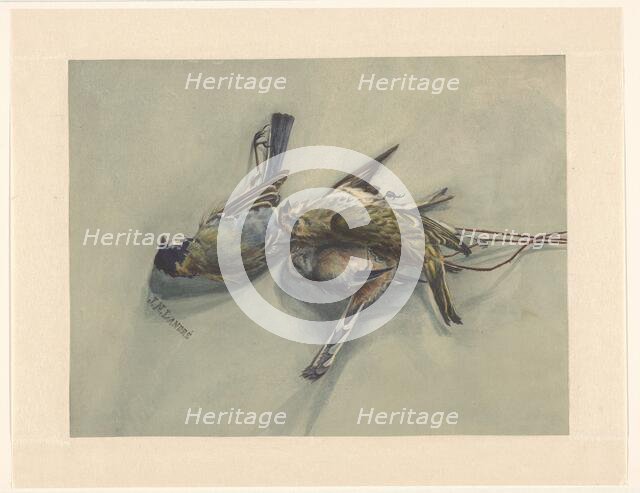 Still life with three dead birds, c.1800-c.1899. Creator: J.N. Landré.