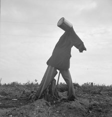 Scarecrow on a newly cleared field with stumps near Roxboro, North Carolina, 1939. Creator: Dorothea Lange.