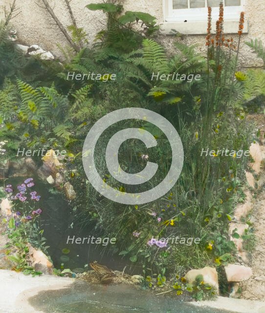 Edgar Theodore Wherry house, 3331 Stephenson Place, N.W., Chevy Chase, Washington, D.C., 1921. Creator: Frances Benjamin Johnston.