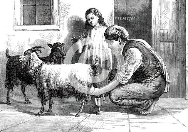 A Maltese Milkman, 1876. Creator: Unknown.