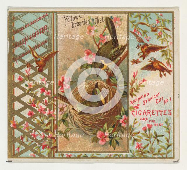 Yellow-breasted Chat, from the Birds of America series (N37) for Allen & Ginter Cigarettes..., 1888. Creator: Allen & Ginter.