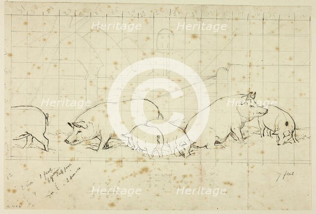 Pigs, n.d. Creator: Henry Stacy Marks.