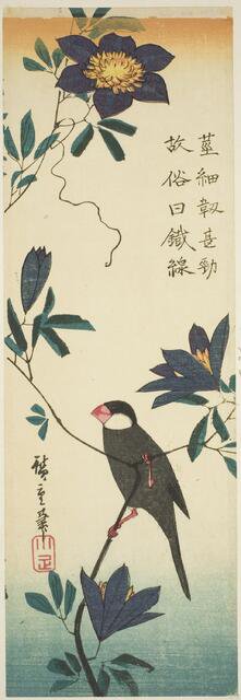 Java sparrow and clematis, 1830s. Creator: Ando Hiroshige.