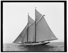 Grayling, 1890 Aug 2. Creator: Unknown.