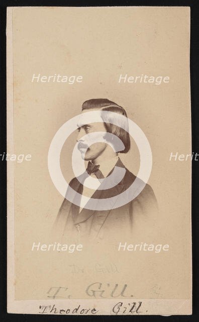 Portrait of Theodore Nicholas Gill (1837-1914), Between 1865 and 1870. Creators: Henry Ulke, Theodore Nicholas Gill.