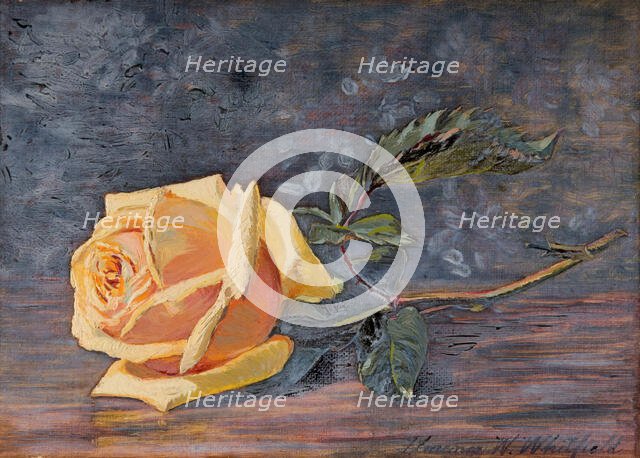 Yellow Rose, 1887. Creator: Florence Westwood Whitfield.