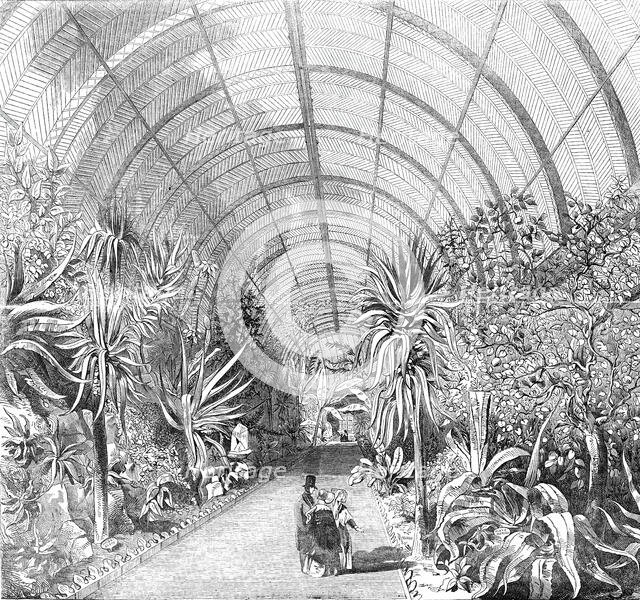 The great Chatsworth Conservatory - the interior, from the Central Walk, 1844. Creator: Unknown.