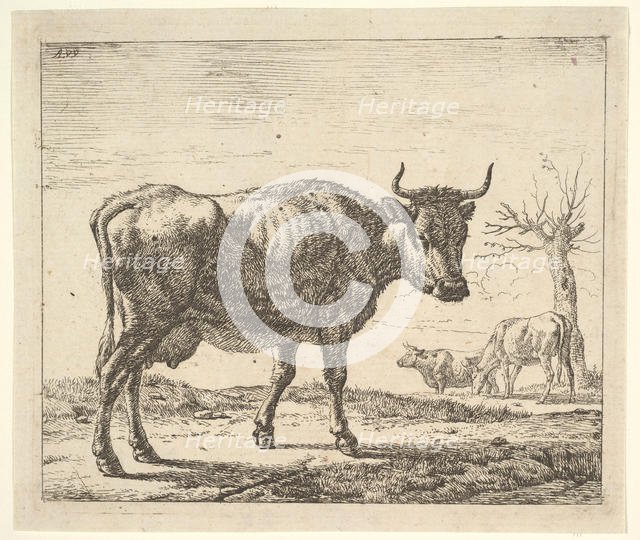 Three Cows, from Different Animals. Creator: Adriaen van de Velde.