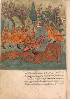The Crow Spy Talks to the King of the Owls and His Ministers, Folio from a Kalila..., 18th century. Creator: Unknown.