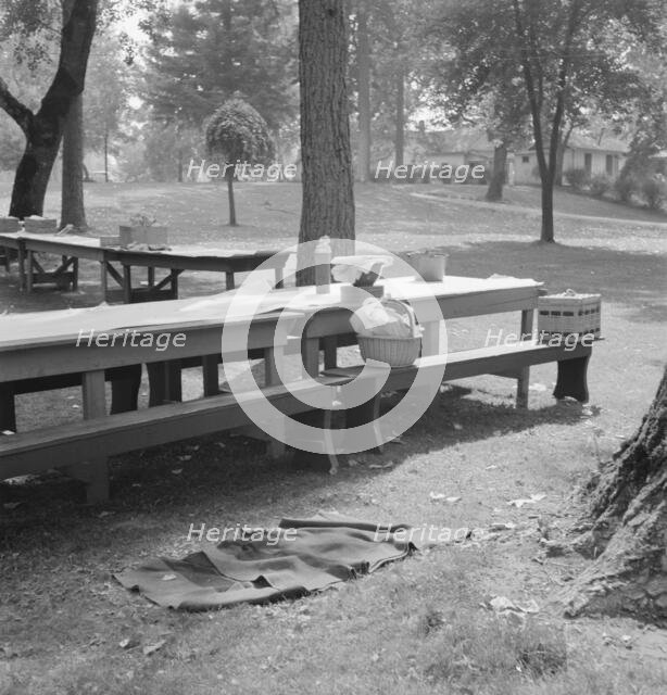 "California Day," a picnic in town park on the Rogue River, Grants Pass, Oregon, 1939. Creator: Dorothea Lange.