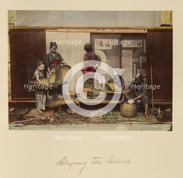 Drying Tea Leaves, about 1873-1883. Creator: Shinichi Suzuki I.