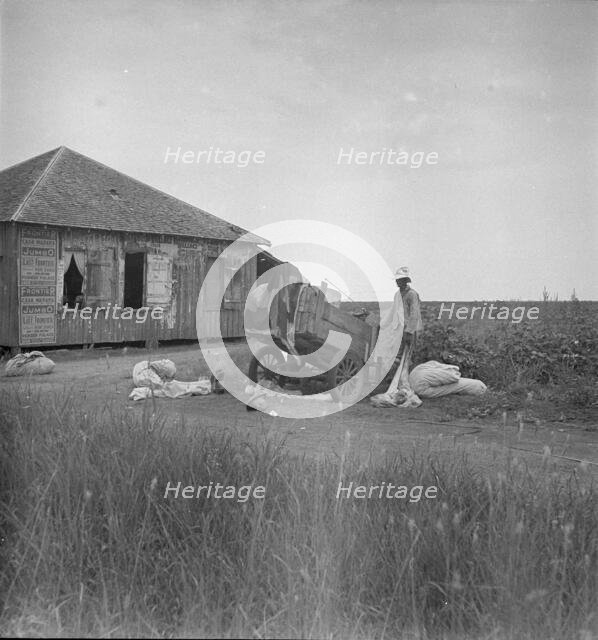 Cotton pickers in south Texas, 1936. Creator: Dorothea Lange.