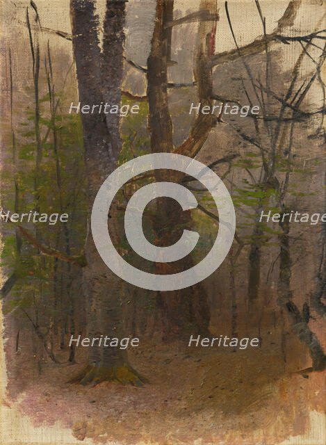 Early Spring. Forest, 1876 - 1877. Creator: Ladislav Mednyanszky.