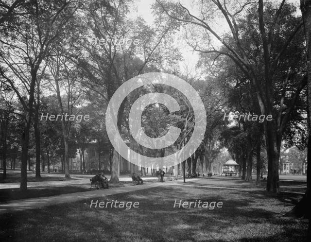 City Green, New Haven, between 1900 and 1906. Creator: Unknown.