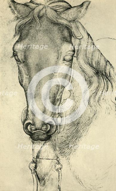 Head of a horse, c1420-1455, (1943). Creator: Pisanello.