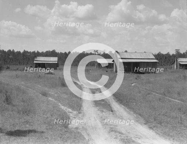Turpentine worker's cabins, Valdosta, Georgia, 1937. Creator: Dorothea Lange.