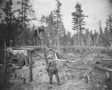 Sawing a log, 1916. Creator: Unknown.