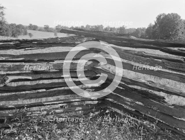 Split-log fence, North central Arkansas, along U.S. 62, 1938. Creator: Dorothea Lange.