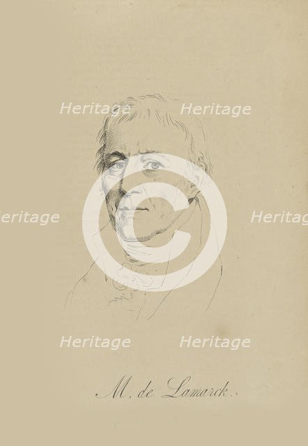 Jean-Baptiste Pierre Antoine de Monet, Chevalier de Lamarck (1744-1829), c. 1810. Creator: Anonymous.