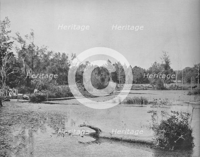 'Scene in Mississippi', c1897. Creator: Unknown.