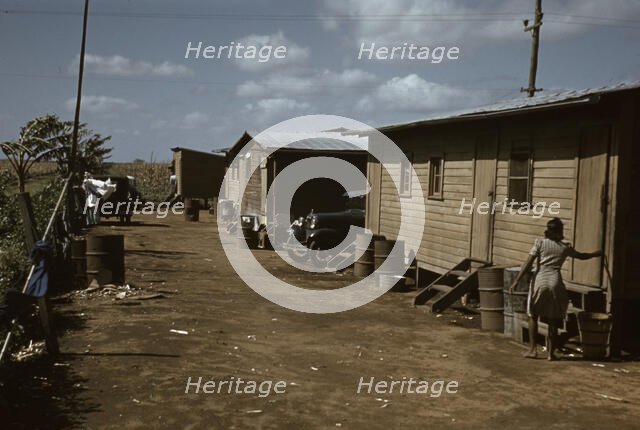 Houses which have been condemned by the Board of Health..., Belle Glade, Fla., 1941. Creator: Marion Post Wolcott.
