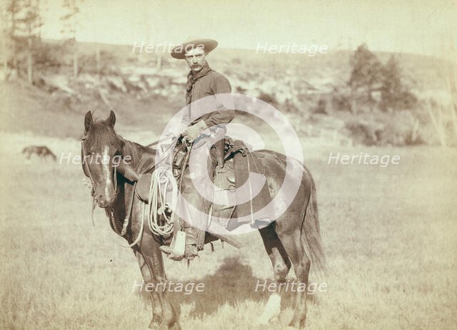 The Cow Boy, c1888. Creator: John C. H. Grabill.