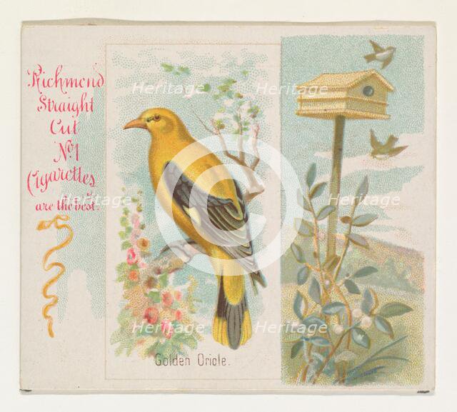 Golden Oriole, from the Song Birds of the World series (N42) for Allen & Ginter Cigarettes..., 1890. Creator: Allen & Ginter.