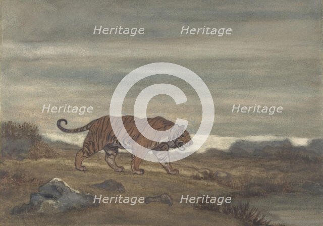 Tiger Approaching Pool, 1810-75. Creator: Antoine-Louis Barye.