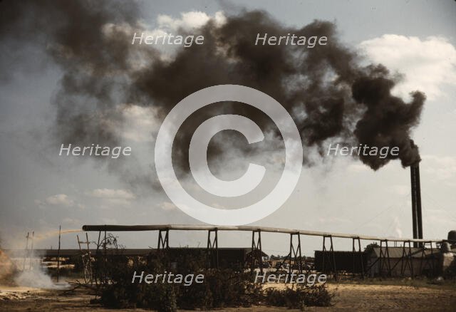 Sawmill at the Greensboro Lumber Co., Greensboro, Ga., 1941?. Creator: Jack Delano.