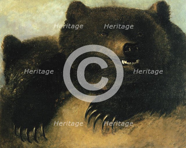 Weapons and Physiognomy of the Grizzly Bear, 1846-1848. Creator: George Catlin.