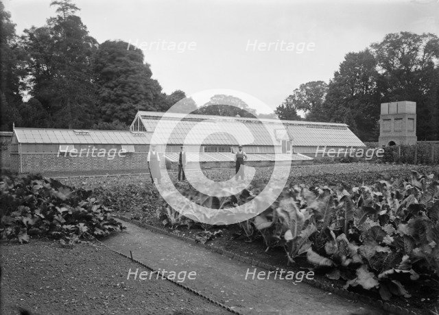 Greenhouses and kitchen garden at Notley Abbey House, Long Crendon, Buckinghamshire, 1904. Artist: A Newton