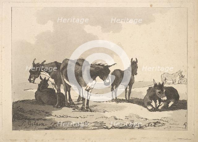 A Group of Five Donkeys, Three Standing, Two Lying, 1783-87. Creator: Thomas Rowlandson.