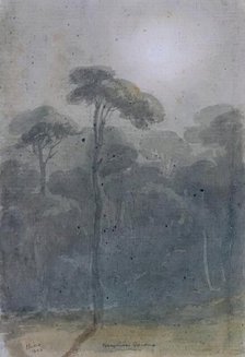 Borghese Gardens, 1825. Creator: James William Giles.