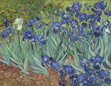 Irises, 1889. Artist: Gogh, Vincent, van (1853-1890)