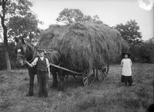 A hay waggon near Hellidon, Northamptonshire, c1896-c1920. Artist: A Newton