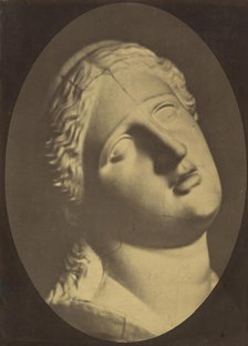Figure 73: Head of Niobe, 1854-56, printed 1862. Creators: Duchenne de Boulogne, Adrien Alban Tournachon.