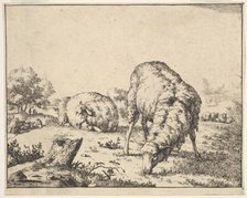 Sheep, from a set of 16 plates, 1664. Creator: Marcus de Bye.