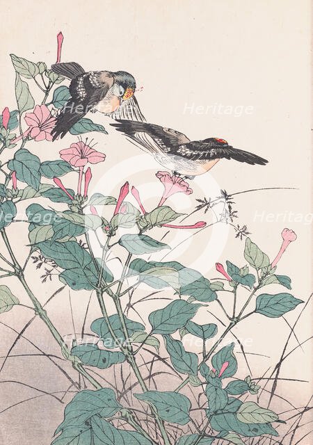 The Four Seasons Bird and Flower Albums (Keinen Kacho Gafu), 1891-1892. Creator: Keinen, Imao (1845-1924).