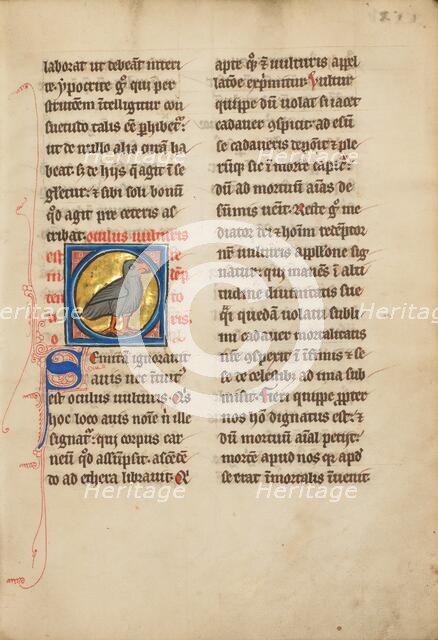 A Vulture; De Natura Avium; De Pastoribus et Ovibus; Bestiarium, 1277 or after. Creator: Unknown.