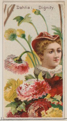 Dahlia: Dignity, from the series Floral Beauties and Language of Flowers (N75) for Duke br..., 1892. Creator: Donaldson Brothers.