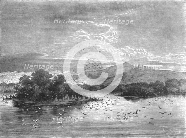 'The sacred Isles of Lake Jonanga; The Gaboon.', 1875. Creator: Unknown.