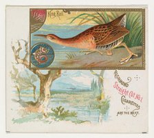King Rail, from the Game Birds series (N40) for Allen & Ginter Cigarettes, 1888-90. Creator: Allen & Ginter.