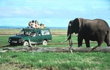 Elephant and safari van, Kenya.