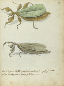 The flying leaf, 1778-1785. Creator: Jan Brandes.