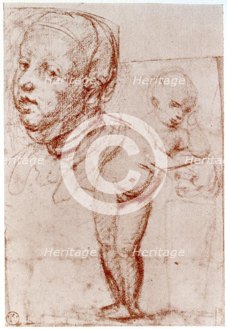 Studies, 1913.Artist: Albrecht Dürer