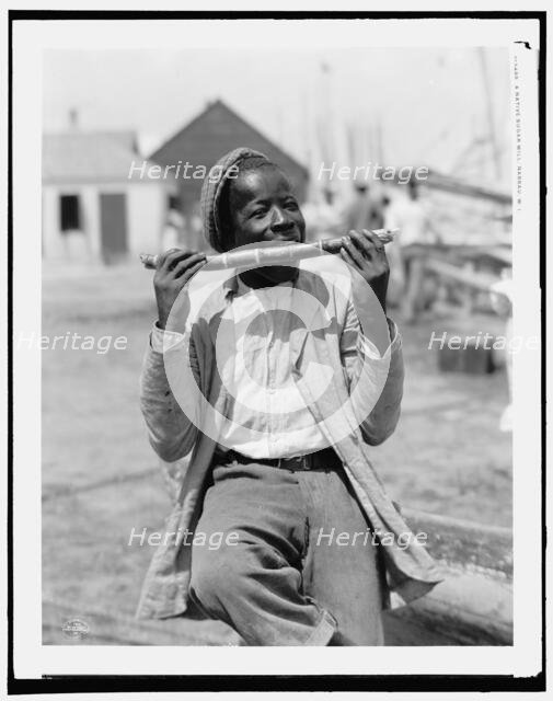 A native sugar mill, Nassau, W.I., c1901. Creator: William H. Jackson.