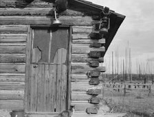 Log home, farm established 6 years ago, Priest River Peninsula, Bonner County, Idaho, 1939 Creator: Dorothea Lange.