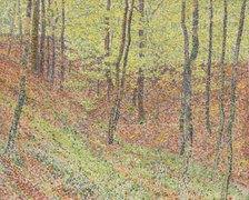 Forest, 1903. Creator: Rohlfs; Christian (1849-1938).