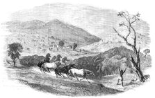 Sketches in Western Australia - Culham, in the Upper Valley of the Swan, 1857. Creator: Unknown.